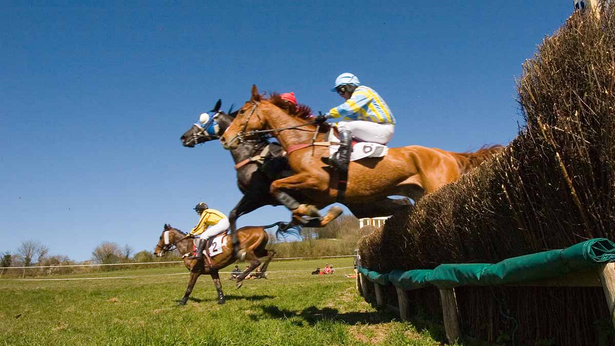 Pronostics  Gratuits R3C7 Prix René Bouteloup