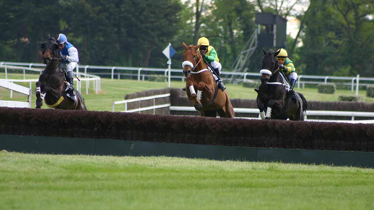 Pronostics  Gratuits R3C5 Prix du Cher