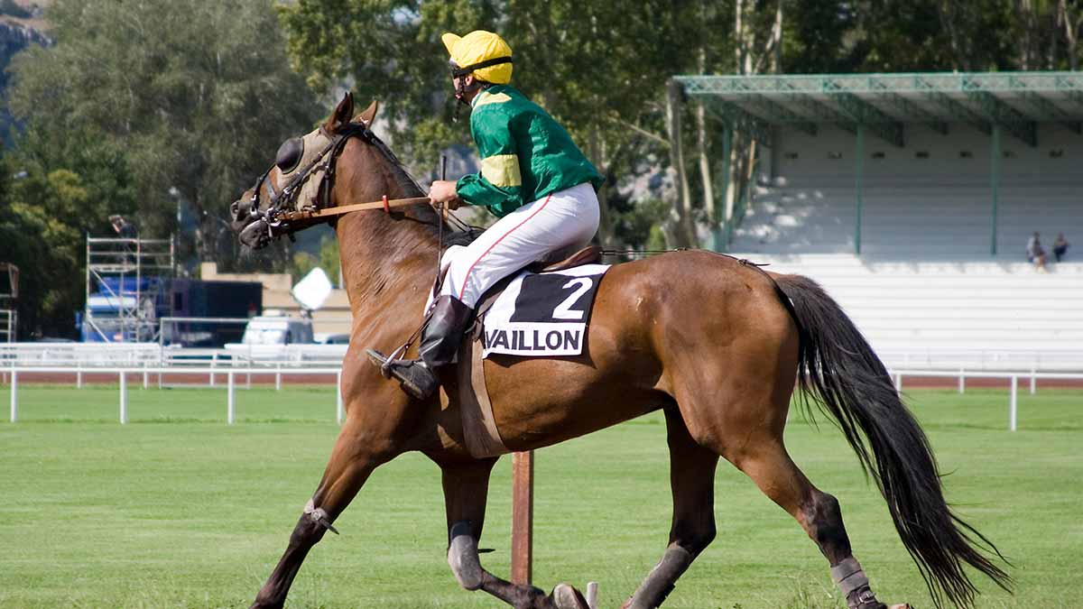 Pronostics  Gratuits R4C4 Prix de Vire, Etape du Tour de France