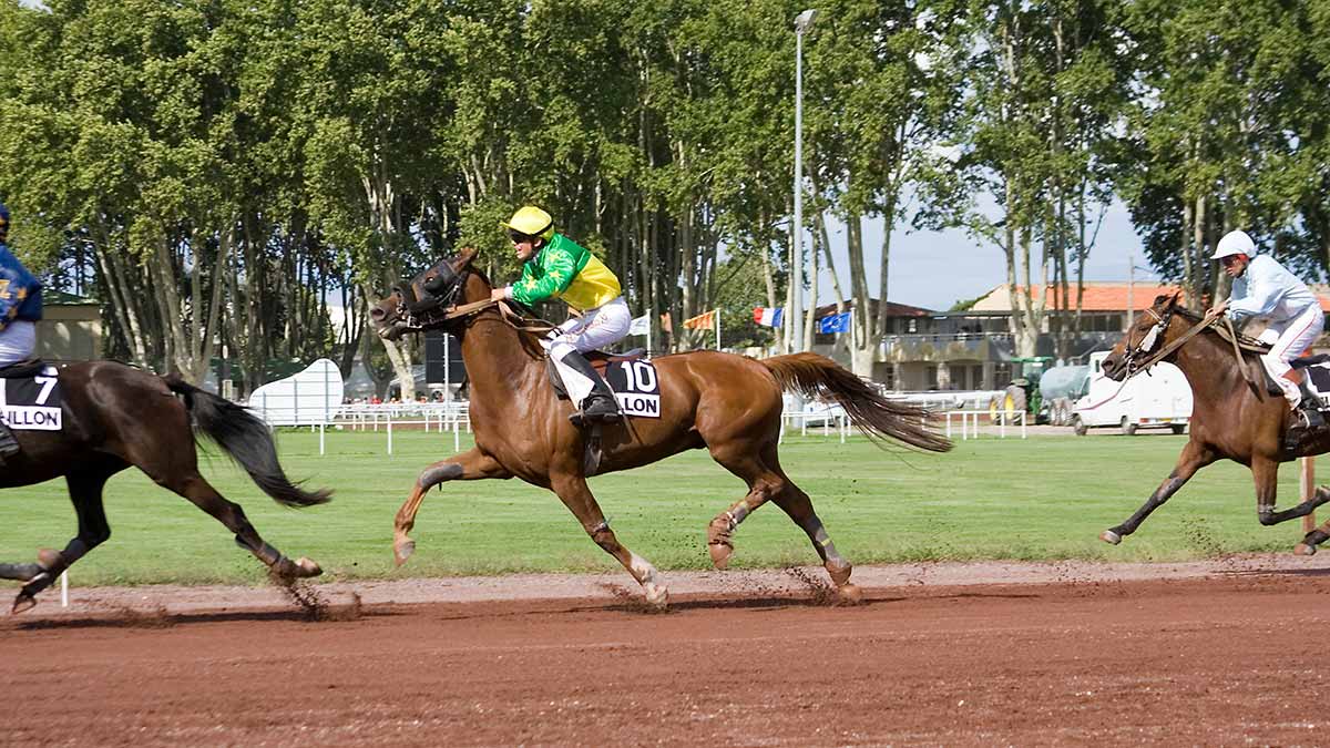 Pronostics  Gratuits R3C8 Prix de Combray