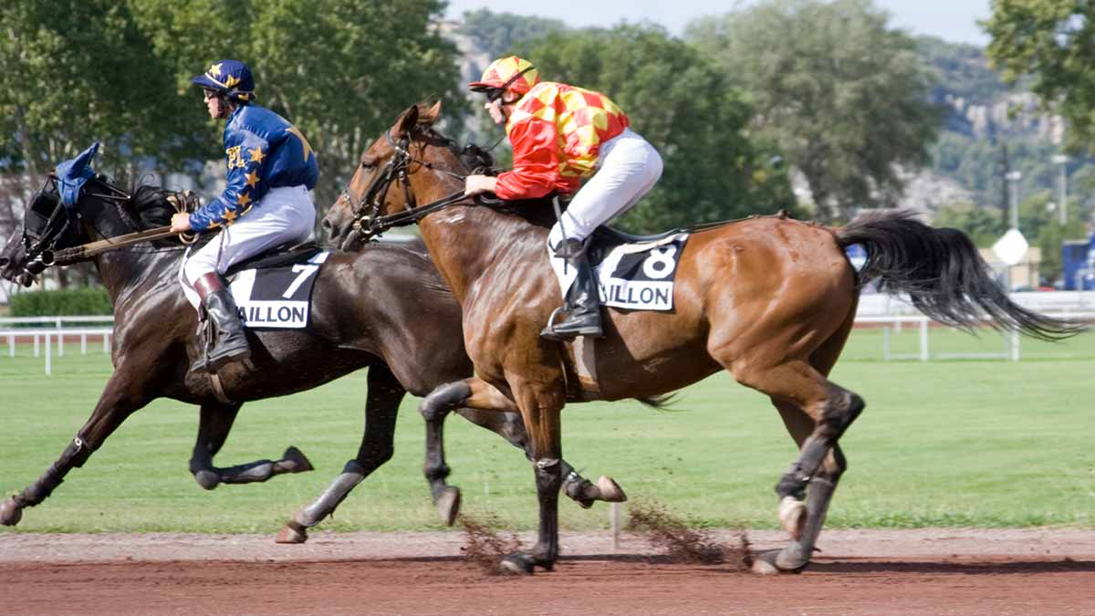 Pronostics  Gratuits R4C2 Prix de Flers, Passage du Tour de France