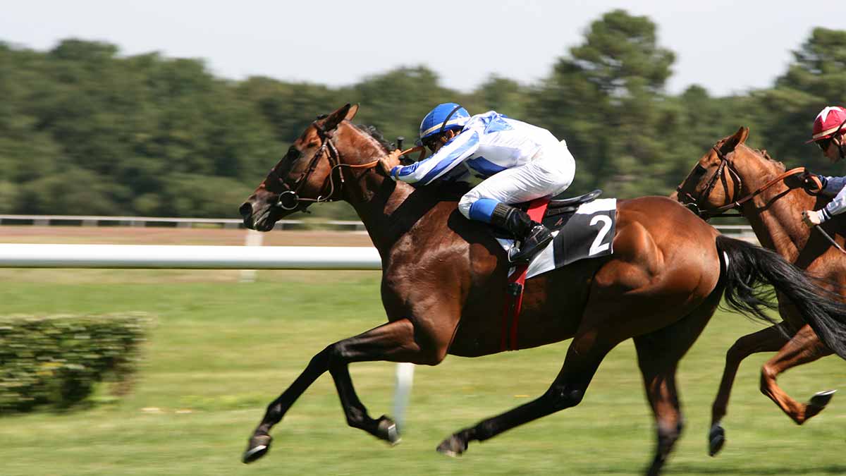 Pronostics  Gratuits R3C1 Prix d'Odos