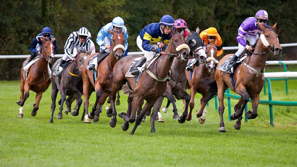 Pronostics  Gratuits R4C9 Prix de la Vallée du Lot
