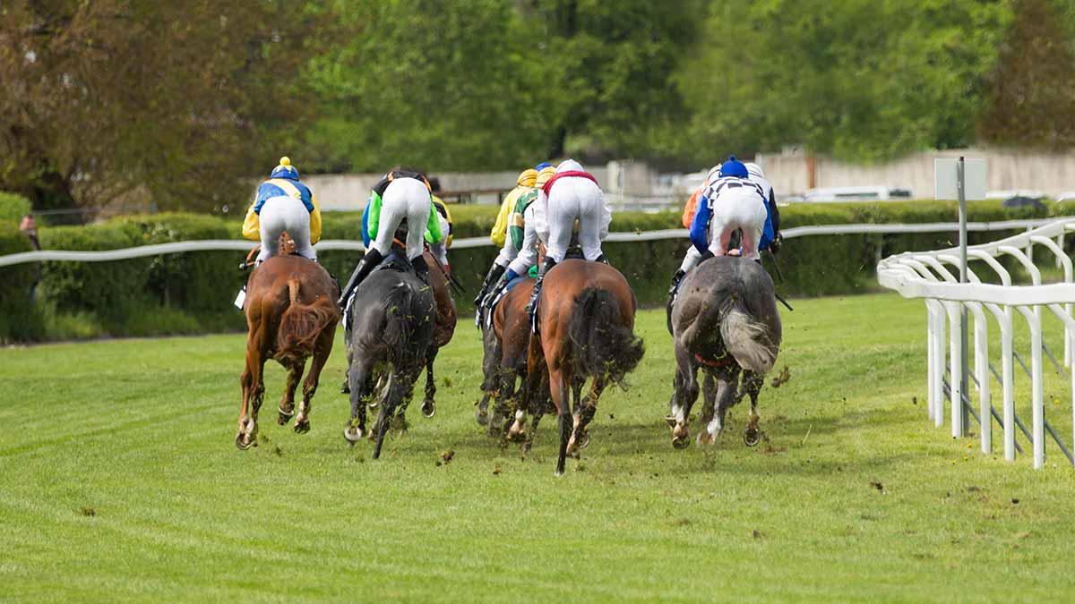 Pronostics  Gratuits R3C4 Prix Jean-François Bernard