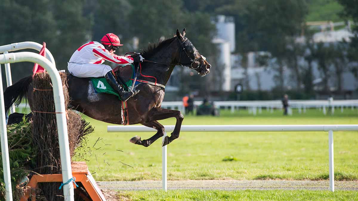 Pronostics  Gratuits R3C7 Prix Fils de Reine