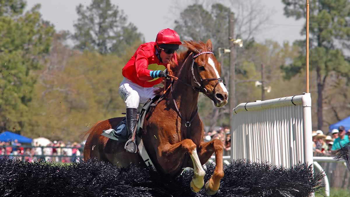 Pronostics  Gratuits R3C2 Prix Jument Radio Paris
