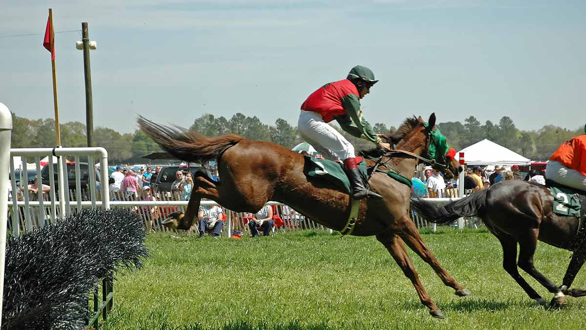 Pronostics  Gratuits R3C4 Prix Colonel Bernard Marlin