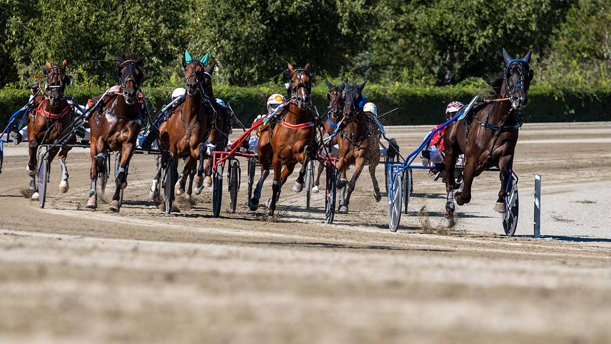 Pronostics  Gratuits R1C3 Prix Sirius
