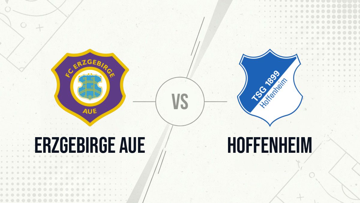 Pronostic Erzgebirge Aue Hoffenheim