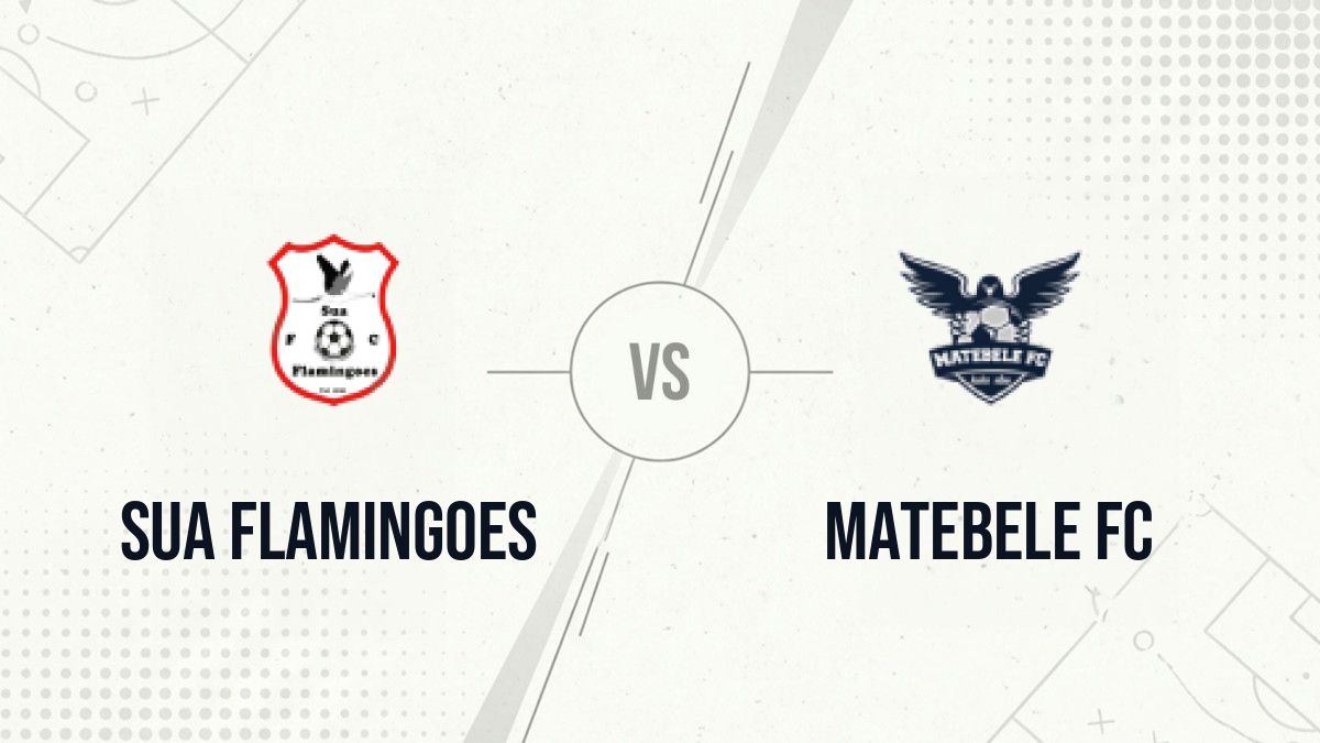 Pronostic Sua Flamingoes Matebele FC