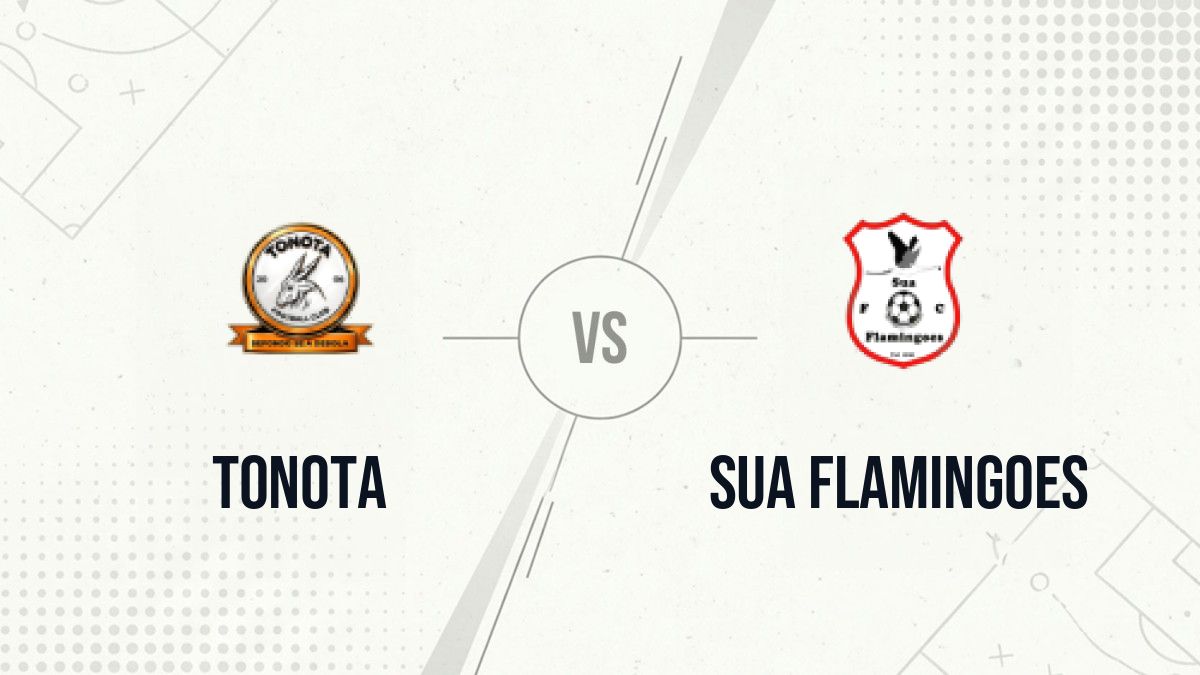 Pronostic Tonota Sua Flamingoes