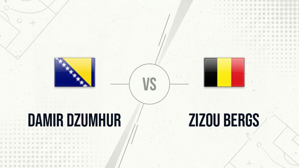Pronostic Damir Dzumhur Zizou Bergs