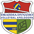 Logo Draisma Dynamo