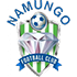 Logo Namungo FC