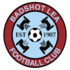 Logo Badshot Lea