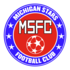 Logo Michigan Stars FC