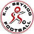 Logo ES Seynod