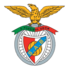 Logo S. Arronches e Benfica