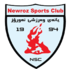 Logo Newroz