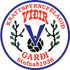 Logo Vidir