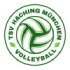 Logo Haching Munich