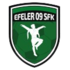 Logo Efeler 09