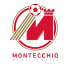 Logo Montecchio Maggiore