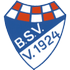 Logo Brinkumer SV