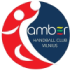 Logo HC Amber