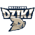 Logo Dziki Warszawa