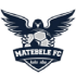Logo Matebele FC