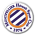 Logo Adanaspor