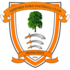 Logo Ashford Town Middlesex