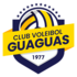 Logo CV Guaguas