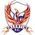 Logo Valentine Phoenix