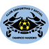 Logo CDS Tampico Madero