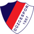 Logo Duzcespor