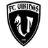 Logo Taipei Vikings