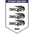 Logo Stade Malien