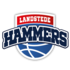 Logo Landstede Hammers