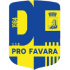 Logo Castrumfavara