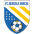 Logo Agricola Borcea