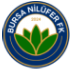 Logo Bursa Nilufer