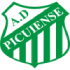 Logo Picuiense