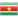 Logo Suriname