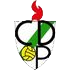 Logo Pamplona
