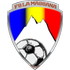 Logo La Massana