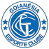 Logo Goianesia