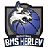Logo BMS Herlev