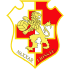 Logo Naxxar Lions FC